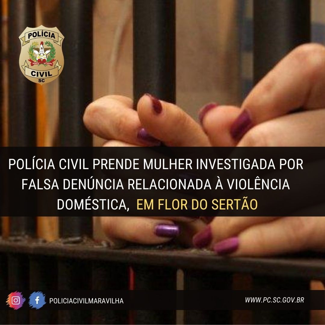 Polícia Civil prende mulher investigada por falsa denúncia relacionada à violência doméstica em Flor do Sertão
