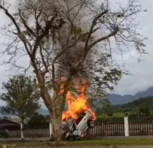 Carro bate contra árvore, pega fogo e motorista morre em SC
