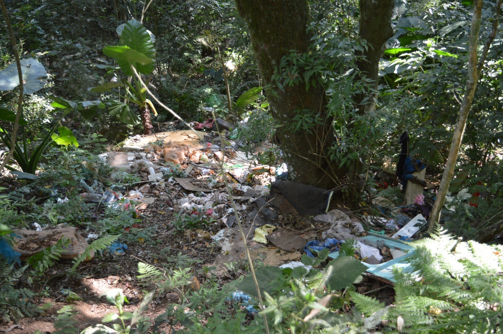 Descaso com a natureza: Ver lixo depositado em local impróprio está cada vez mais comum em Cunha Porã