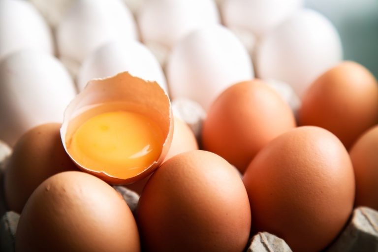 Exportações de ovos crescem 137,7% em 2021