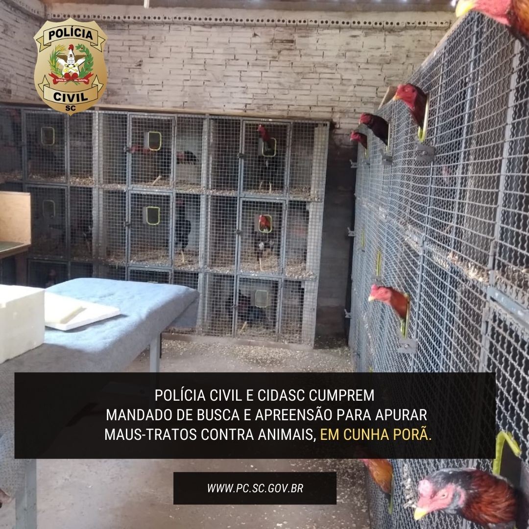 Polícia Civil e CIDASC cumprem mandado de busca e apreensão para apurar maus tratos contra os animais em Cunha Porã