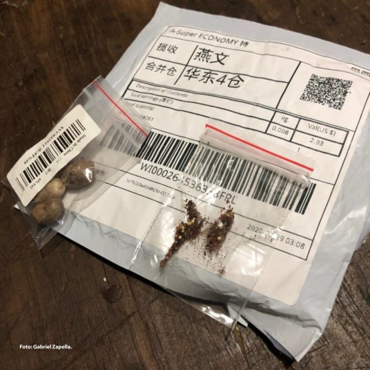 Cidasc alerta à população de Santa Catarina sobre pacotes misteriosos recebidos pelos correios originários da China