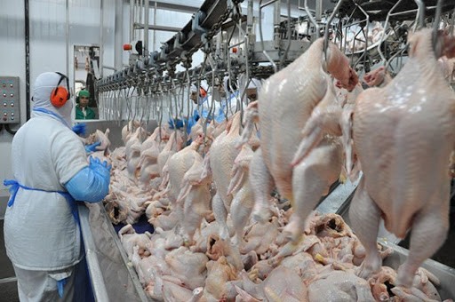 Santa Catarina alcança US$ 2 bilhões com exportações de carnes em 2020
