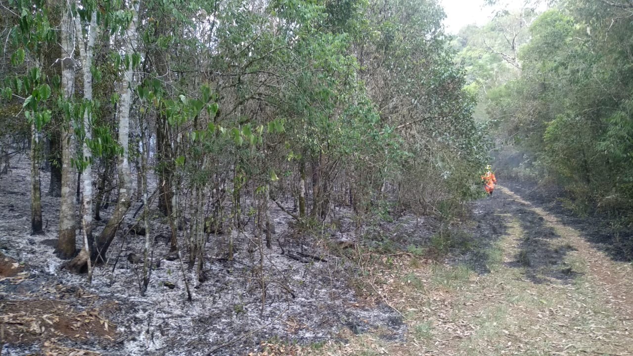 Bombeiros combatem incêndio na Linha São Domingos em Cunha Porã
