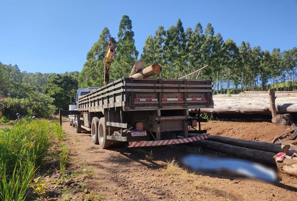 Homem morre prensado por tora de madeira no interior de Guaraciaba