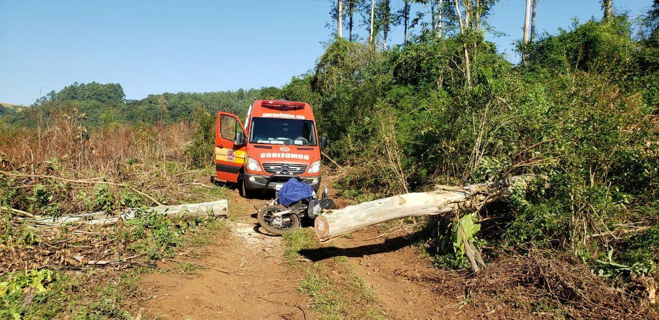 Homem morre em Saudades após ser atingido por árvore enquanto andava de moto