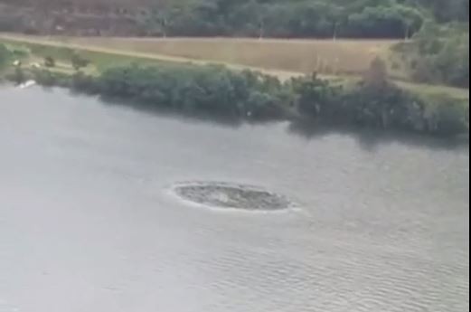 Círculo misterioso se forma no leito do rio Uruguai, em Chapecó