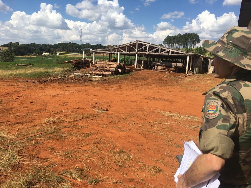 Polícia Ambiental apreende madeira clandestina no Oeste de SC