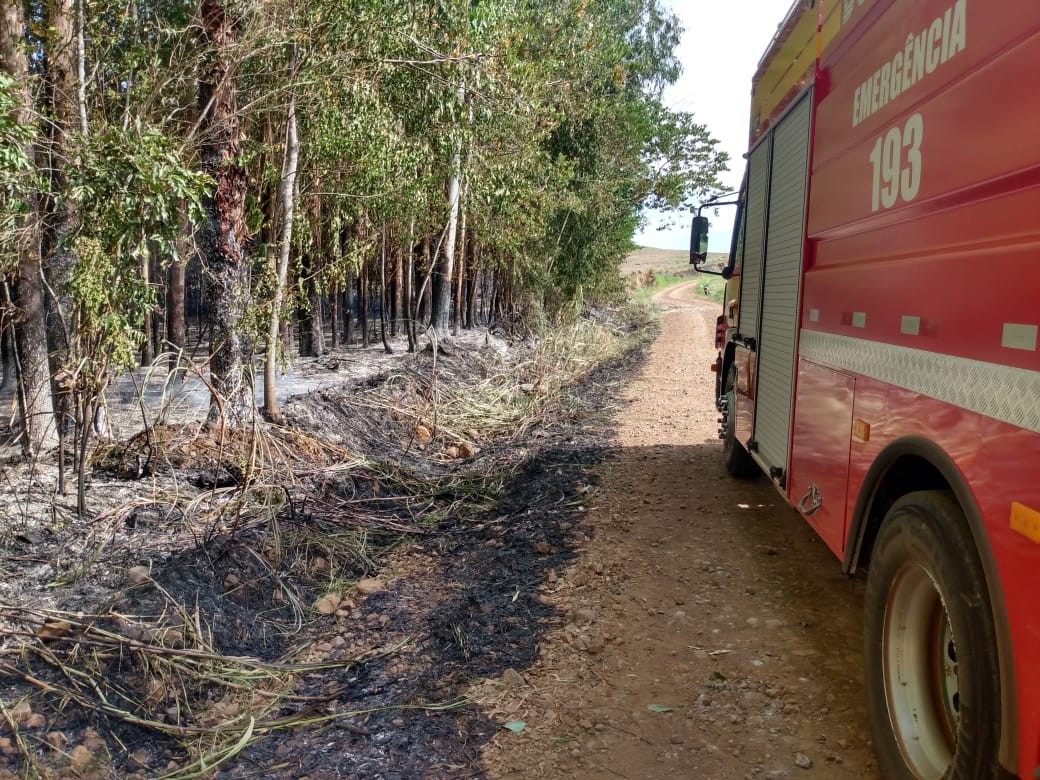 Bombeiros atendem a duas ocorrências de incêndio em vegetação no interior de Cunha Porã