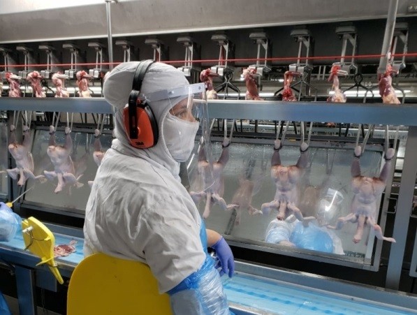 Arábia Saudita suspende importação de carne de frango de 11 frigoríficos do Brasil