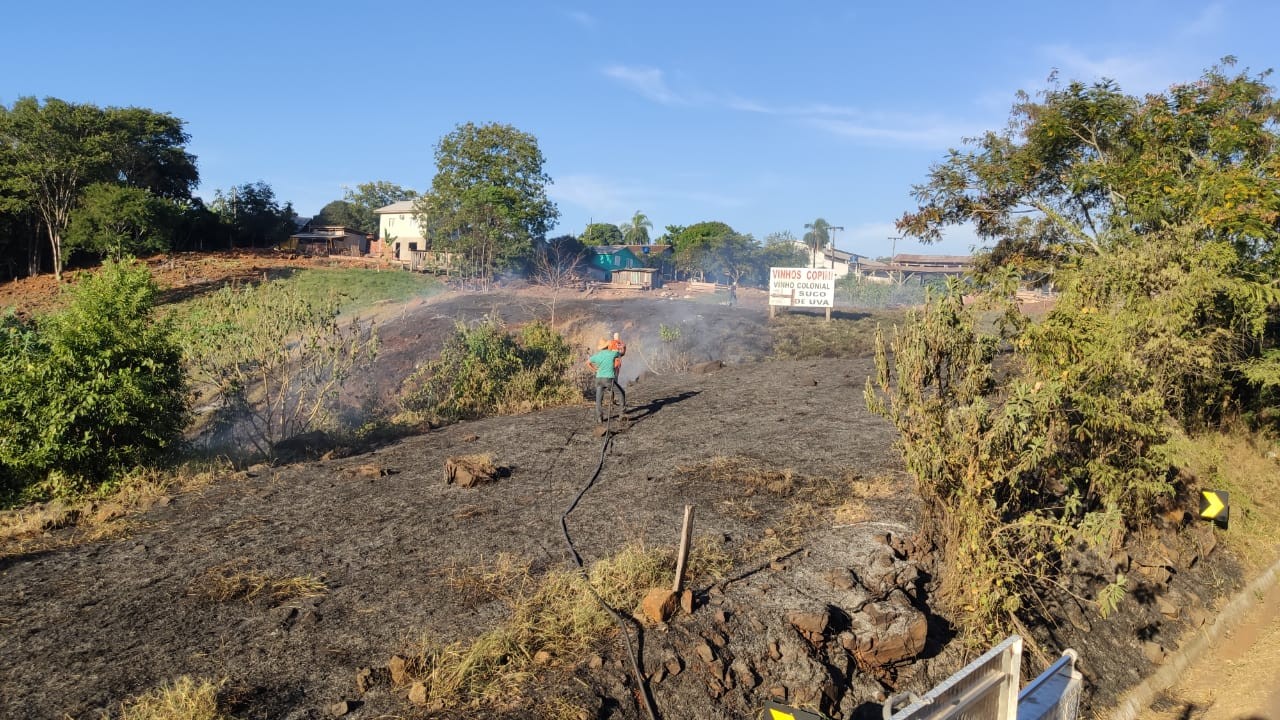 Incêndio de grandes proporções em vegetação quase atinge casas e madeireira em Palmitos