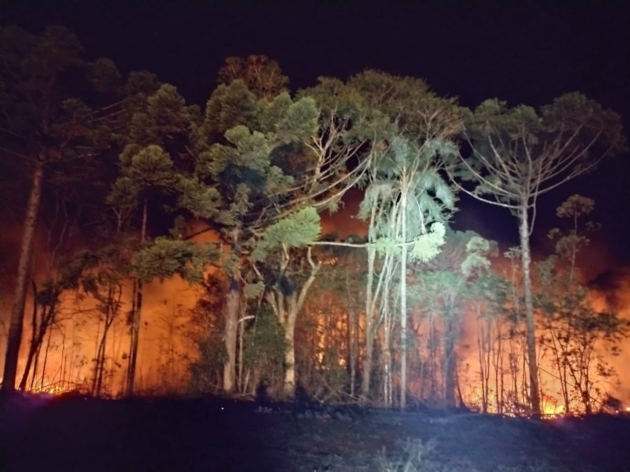 Incêndio em vegetação no interior de Cunha Porã foge de controle e Bombeiros são acionados