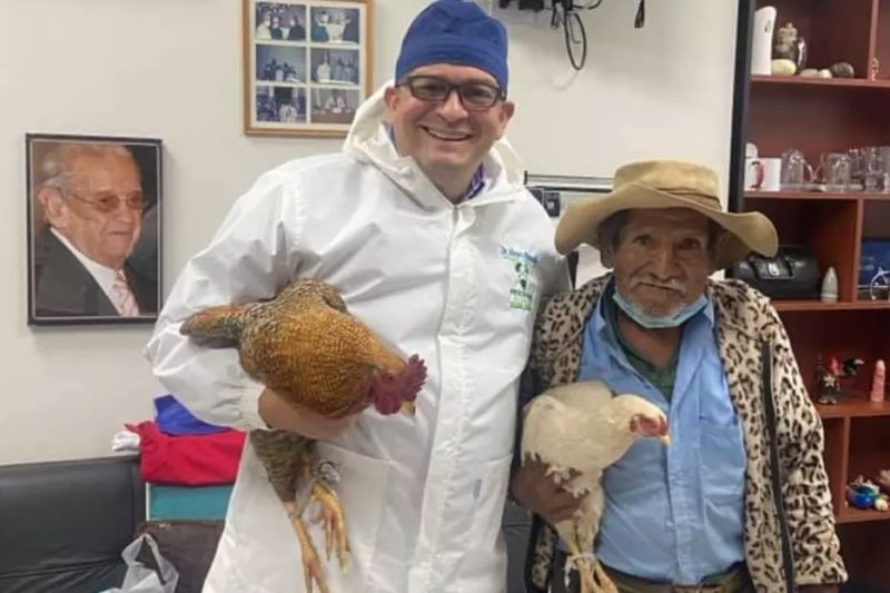 Médico ganha galinhas de idoso em agradecimento por cirurgias