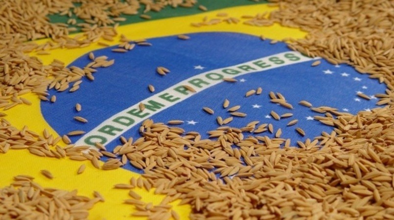 México compra 25 mil toneladas de arroz do Brasil