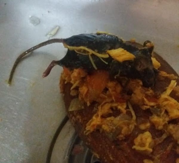Mulher encontra rato morto em molho de tomate em São Domingos