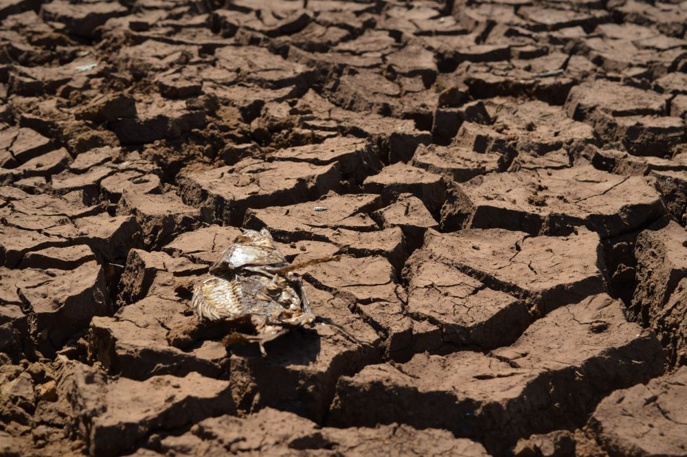 Mapa que monitora estiagem aponta aumento em área atingida por seca grave em SC