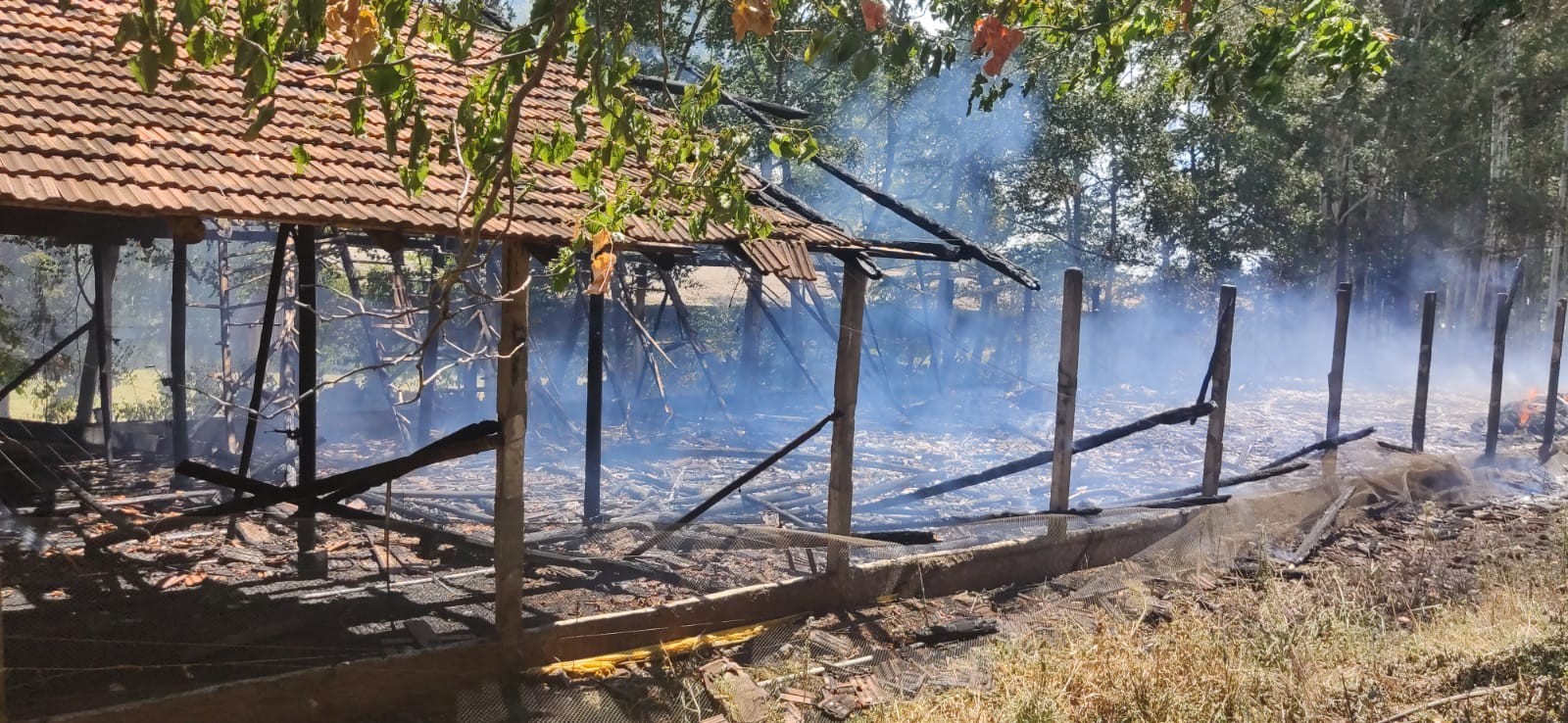 Bombeiros combatem incêndio em aviário no interior de Caibi
