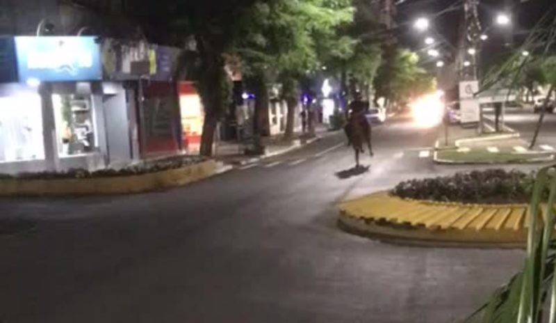 Jovem é filmado em ‘delivery com égua’ em Xaxim e vídeo viraliza