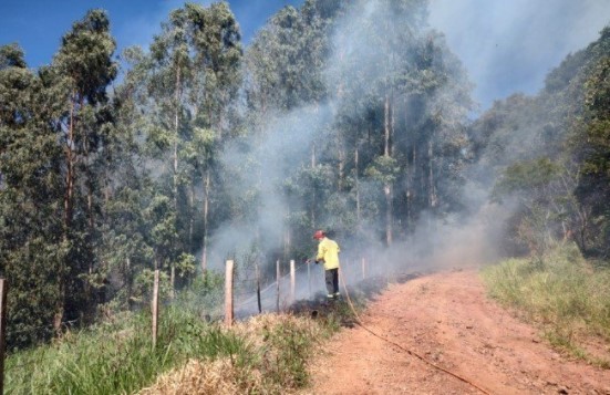 Bombeiros combatem incêndio em área de reflorestamento por 27 horas em Dionísio Cerqueira