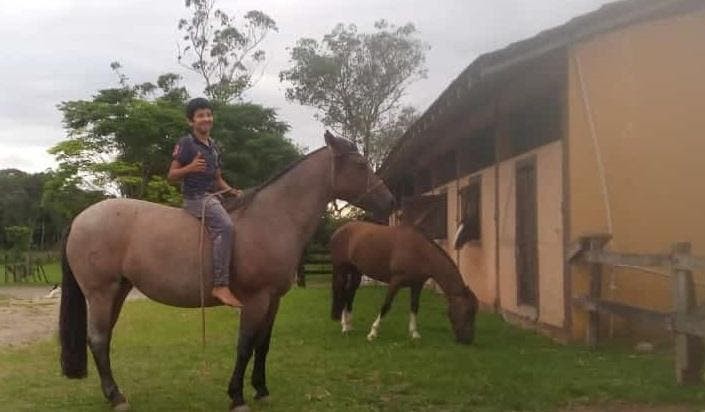 Menino morto com coice de cavalo em Joinville era apaixonado por animais
