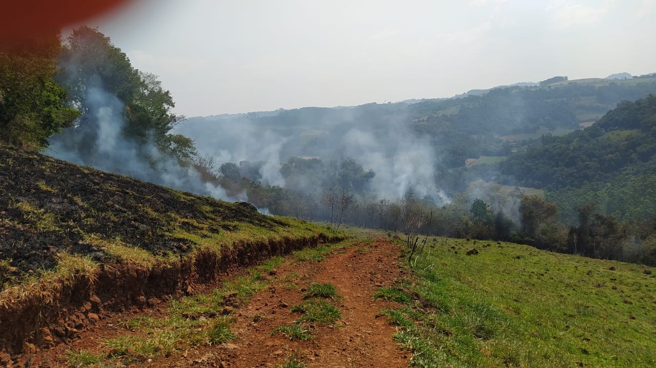 Incêndio no interior de São Carlos atingiu 4 hectares de vegetação 
