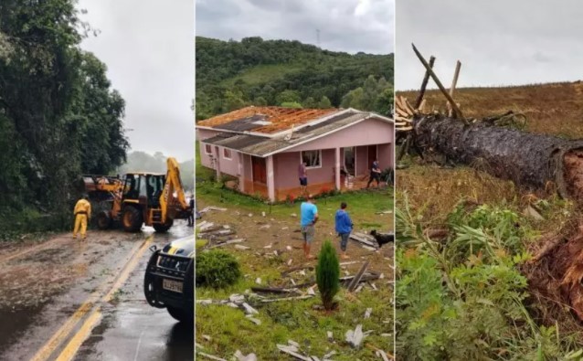 Temporal destelha casas, derruba árvores e tranca rodovia em SC