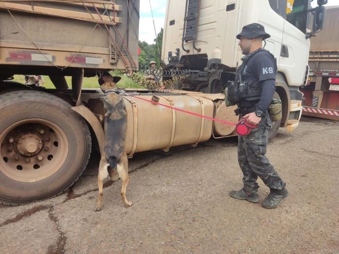 Polícia Civil Realiza Operação DIFRON Segura Echo no Oeste Catarinense