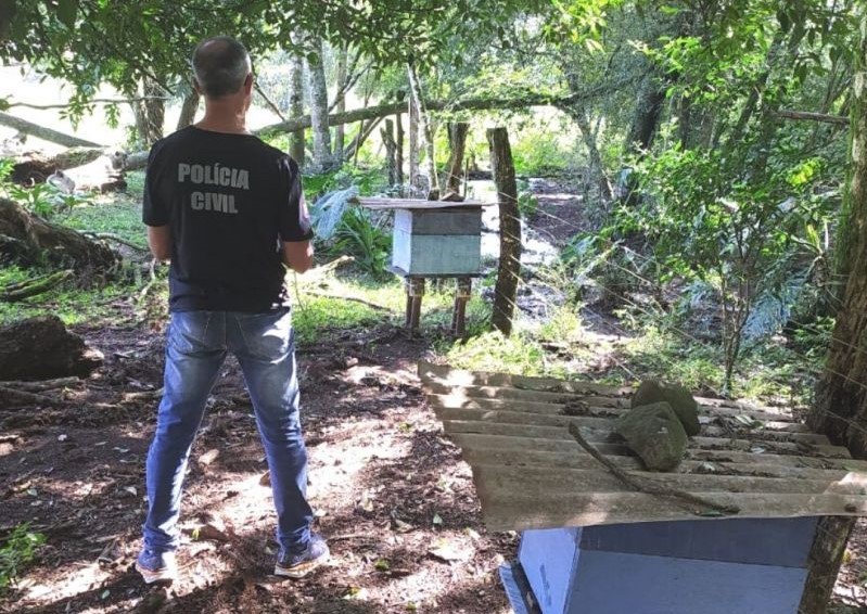 Polícia recupera caixas de abelhas que haviam sido furtadas em Saudades