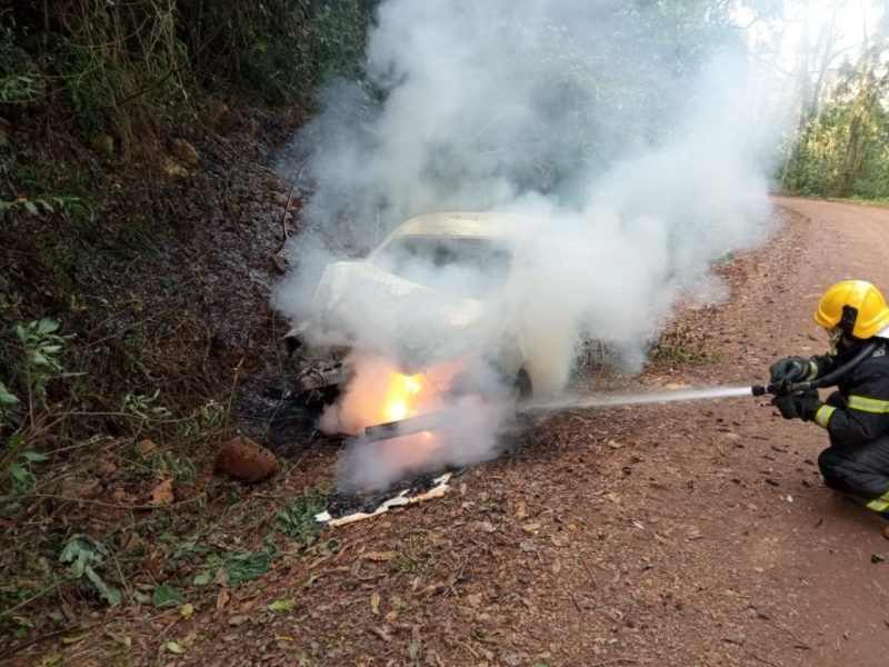 Após sair da pista, mulher bate em árvore e carro pega fogo no interior de Caibi