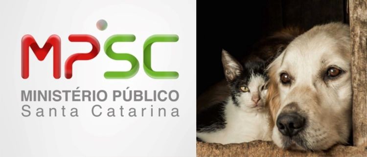 MPSC ajuíza ação para que Município de Cunha Porã implante políticas públicas voltadas ao bem-estar e controle populacional de animais de rua