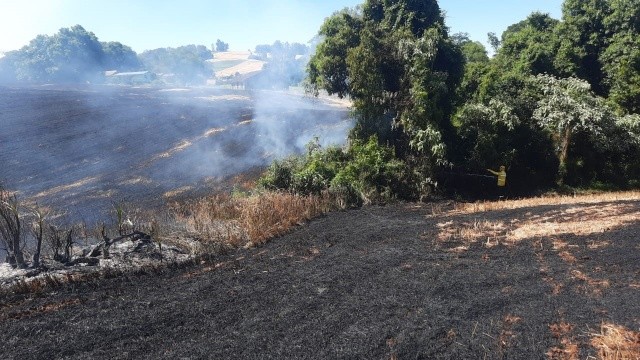 Incêndio atinge área de plantação no interior de Maravilha
