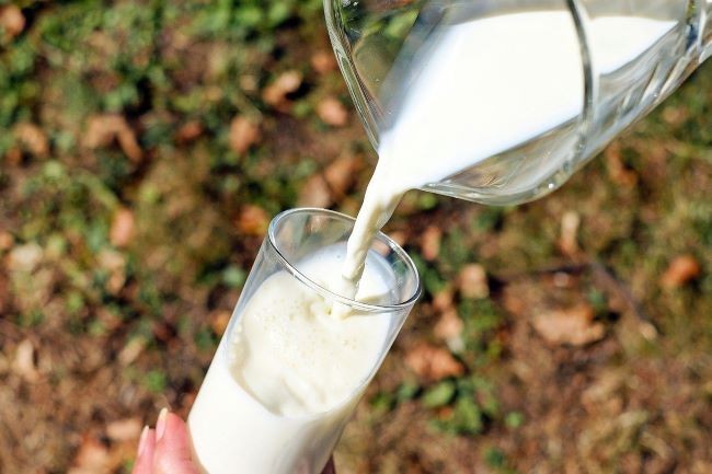 Chapecó sediará evento Sulbrasileiro do setor leiteiro