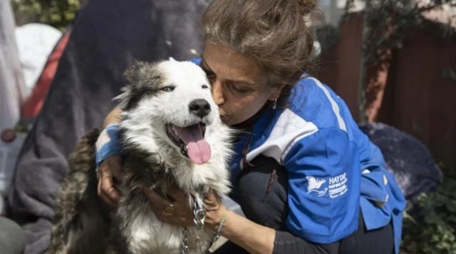 Cão é resgatado com vida após ficar 23 dias soterrado em escombros, na Turquia 