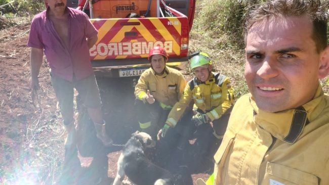 Após três horas de trabalho, bombeiros resgatam cachorro que havia caído em uma fissura de 20 metros, no Oeste