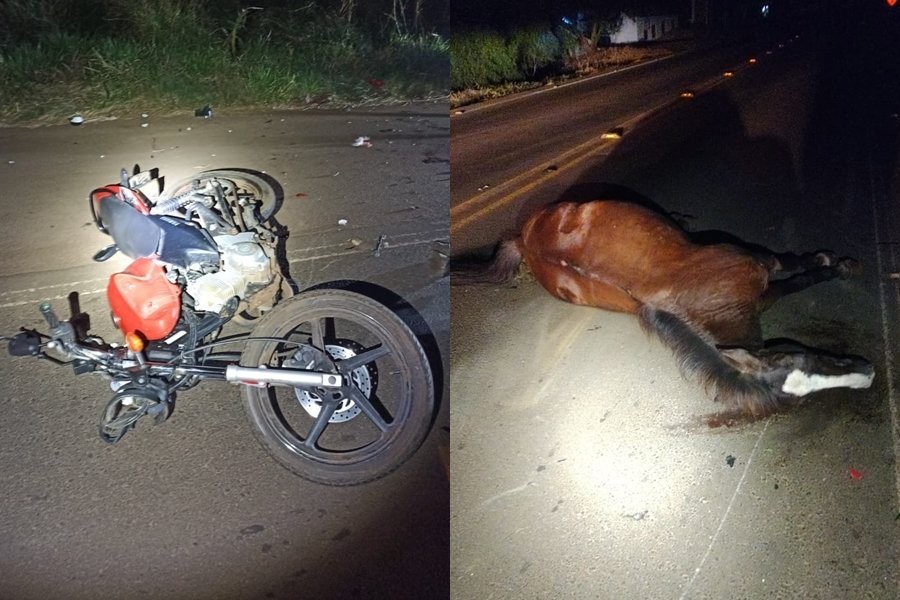 Motociclista é socorrido em estado grave ao atropelar cavalo na SC-480