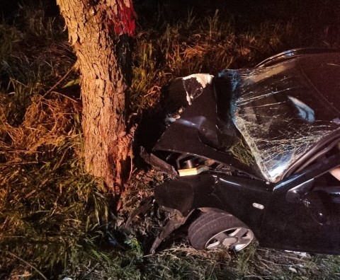 Condutor de automóvel bate em árvore e fica ferido em São João do Oeste
