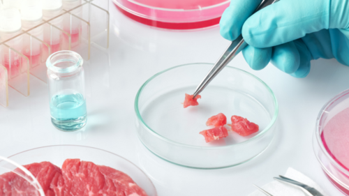 Carne de laboratório será produzida em SC por gigante de alimentos; saiba como