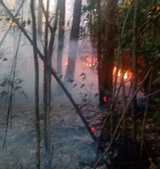 Bombeiros combatem incêndio em vegetação próximo a propriedades rurais na Linha Central em Cunha Porã