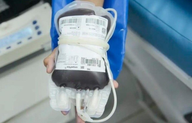 Ministério da Saúde lança aplicativo que facilita a doação de sangue no Brasil