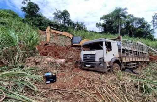  Caminhão carregado com suínos tomba e animais desaparecem do local no Oeste