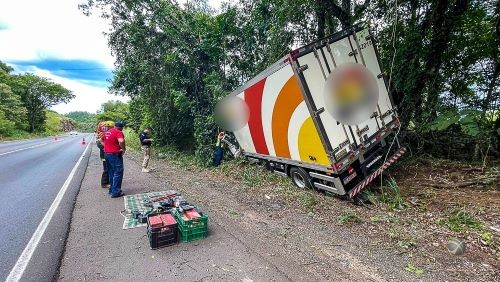 Condutor morre em saída de pista seguida de choque em árvore na BR-282 entre SMOeste e Maravilha