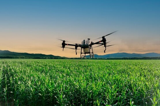 Cidade do Oeste utilizará drone agrícola para combater mosquito da dengue