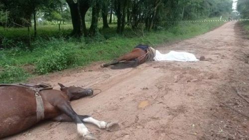 Homem e cavalos são encontrados mortos após suspeita de descarga elétrica no RS