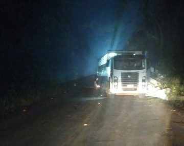 Caminhão carregado de suínos sai da pista e colide em defesa e árvores na SC-283