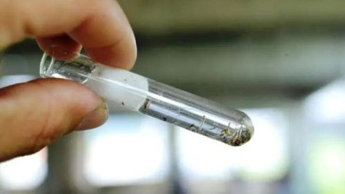 Santa Catarina bate recorde de casos de dengue e registra 213 mortes