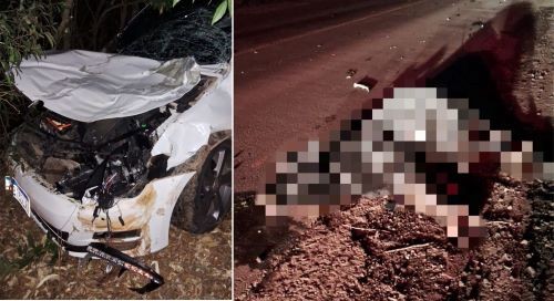 Jovem tem ferimentos leves ao colidir carro contra bovino no Oeste