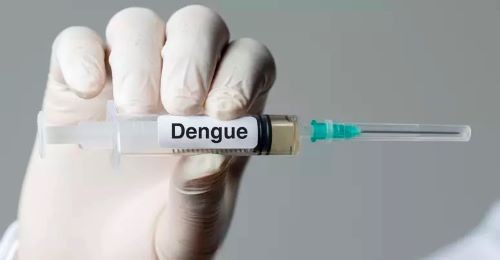 Vacinação contra a dengue será ampliada para a região Oeste de SC