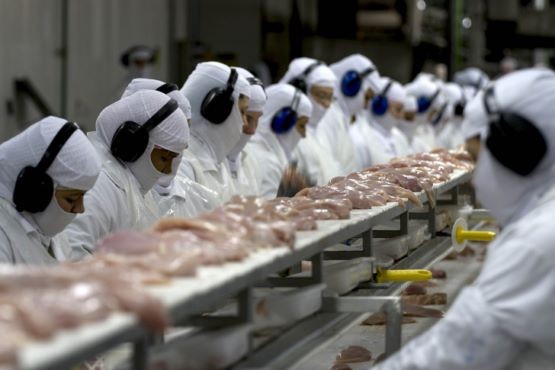 Indústria de alimentos é a que mais emprega no Brasil, diz IBGE