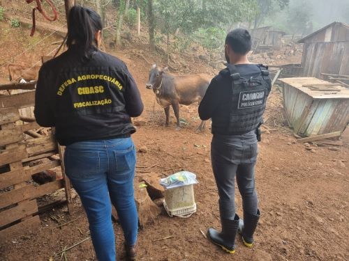 Fiscalização em propriedade rural identifica diversas irregularidades no Oeste