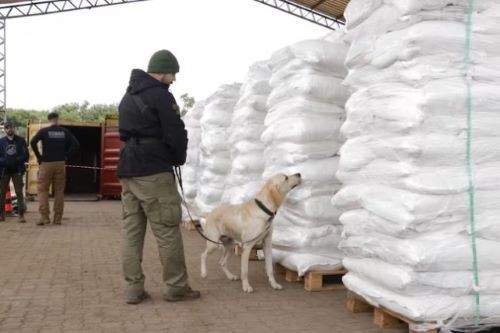 Paraguaios apreendem maior quantidade de cocaína da história do país